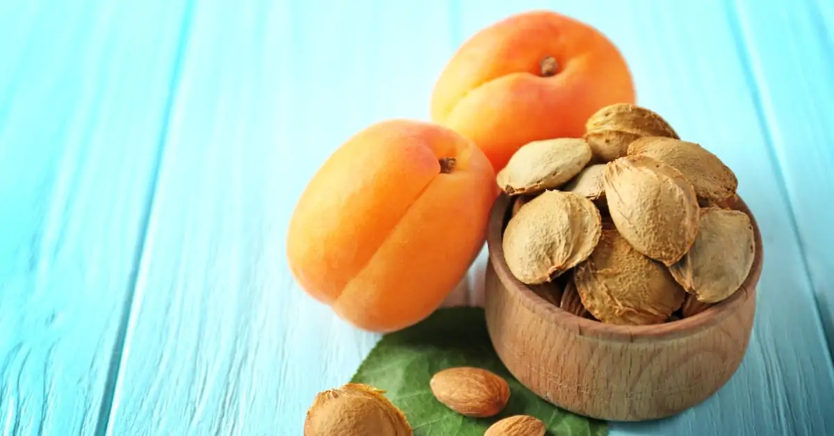 SANTÉ - Elles peuvent être toxiques… Attention à la consommation de ces noyaux de fruits  !