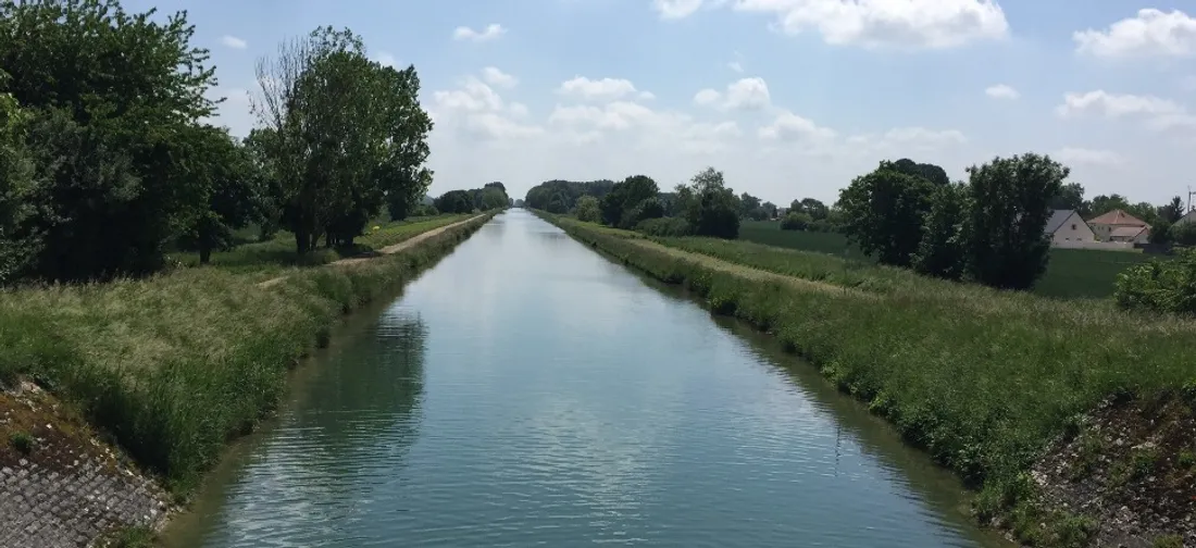 Un chien jeté dans le canal de Bourgogne : la Côte-d’Or sous le choc