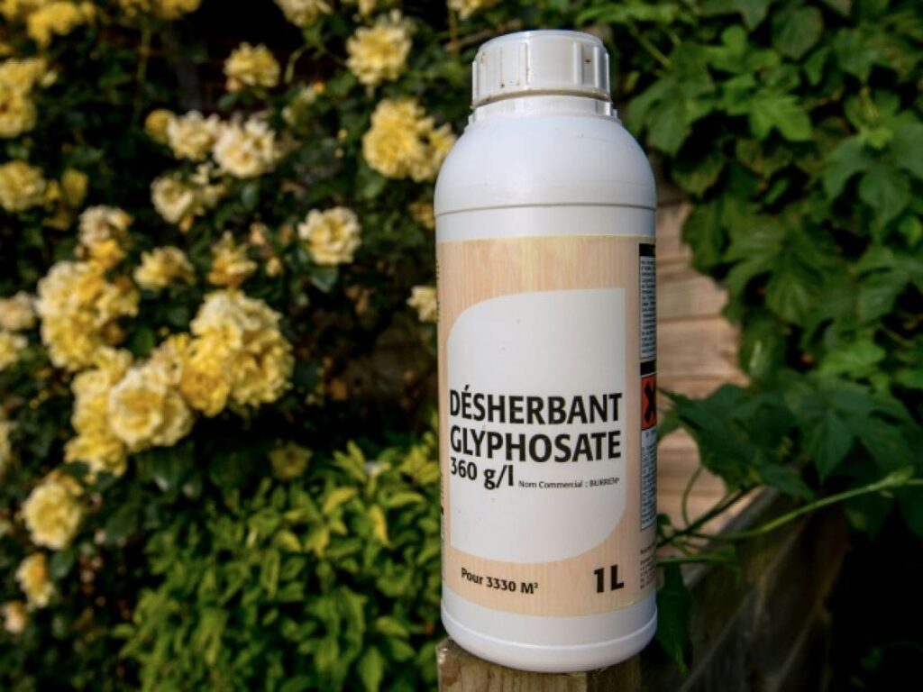 Glyphosate : Bayer face à la justice après les malformations d’un enfant exposé in utero