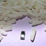 Il fait la taille d’un grain de riz : le plus petit pacemaker du monde