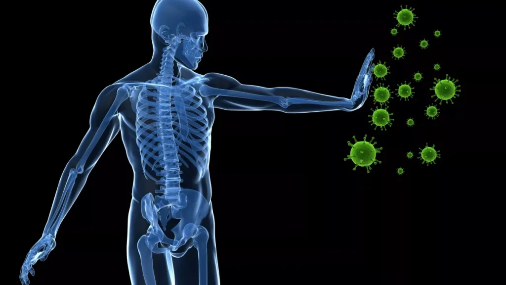Le système immunitaire des personnes âgées réagit aux traitements contre le cancer malgré sa faiblesse