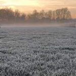 Météo du mardi 8 avril : des gelées matinales avant un après-midi presque estival