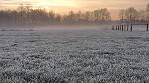 Météo du mardi 8 avril : des gelées matinales avant un après-midi presque estival