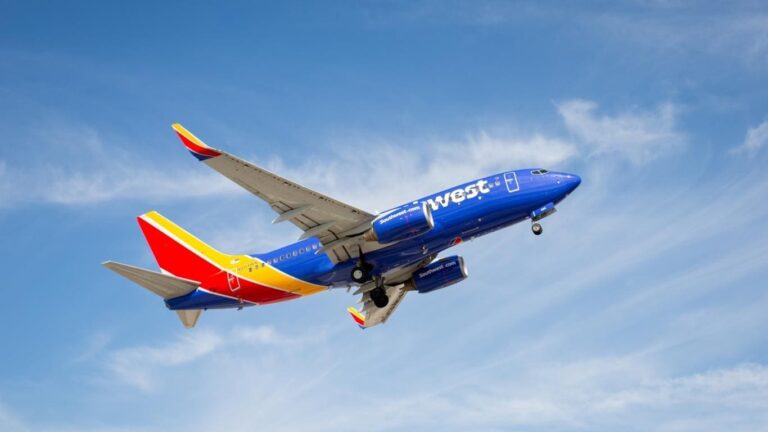 Insolite - Une passagère se dénude et défèque sur un siège à bord d’un vol Southwest Airlines