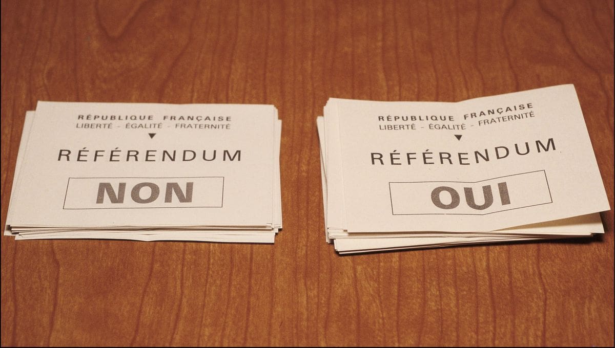 Deux tiers des Français veulent un référendum sur les finances et l'immigration