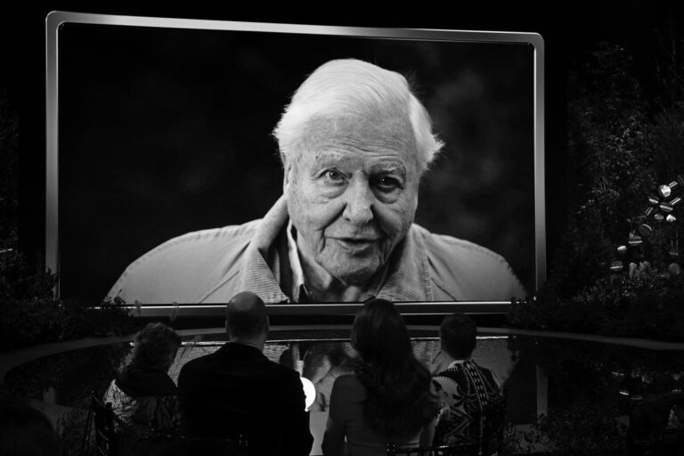 À 99 ans, David Attenborough alerte sur la survie des océans dans un nouveau film coup de poing