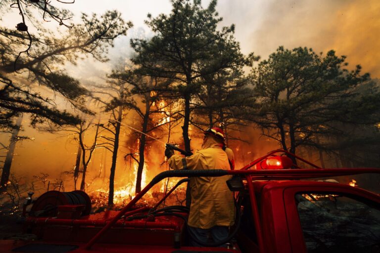 Un deuxième suspect inculpé pour incendie criminel dans la forêt des Pine Barrens au New Jersey