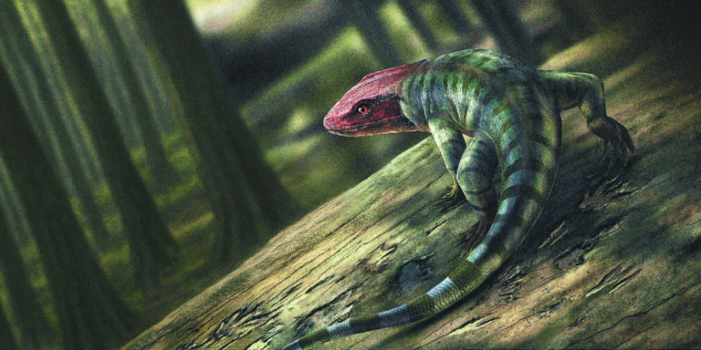 Des empreintes vieilles de 350 millions d'années bouleversent l’histoire de la vie sur terre