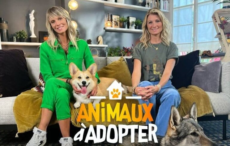 Mercato télé - Les deux animatrices des Animaux de la 8 rebondissent sur TMC