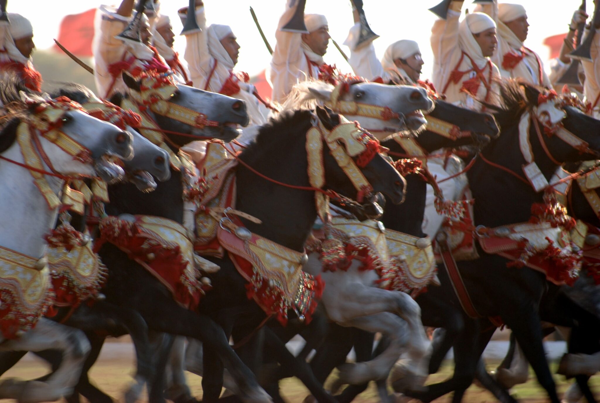 Notre Reporter Jessica Pierné A Capturé Cette Fantasia, Véritable Tradition Au Maroc