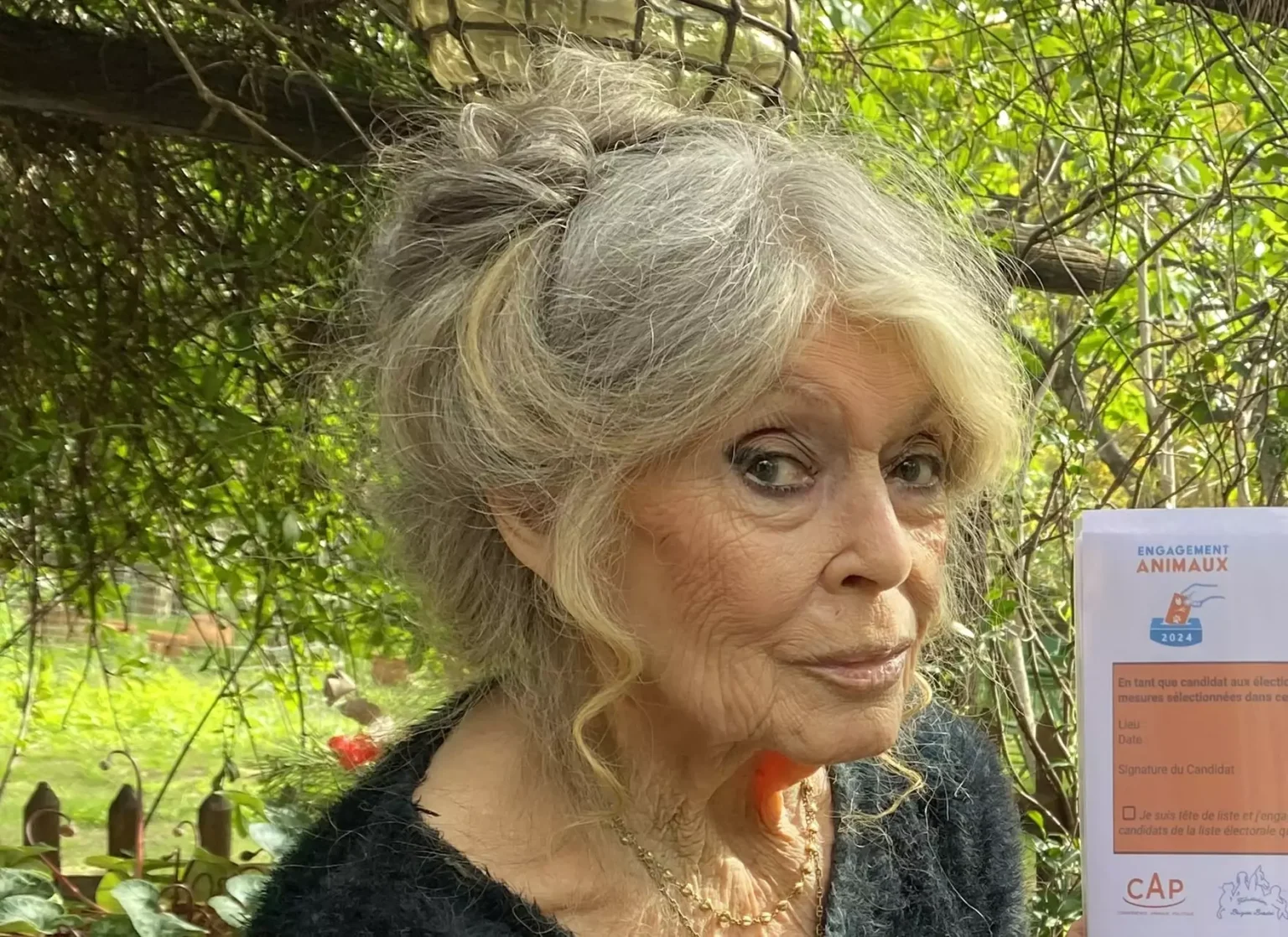 Brigitte Bardot fait son grand retour télévisé après dix ans d'absence