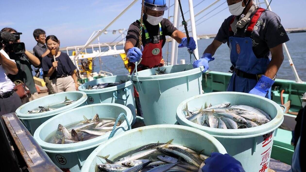 La Chine va reprendre ses importations de fruits de mer japonais, suspendues depuis le rejet des eaux de Fukushima