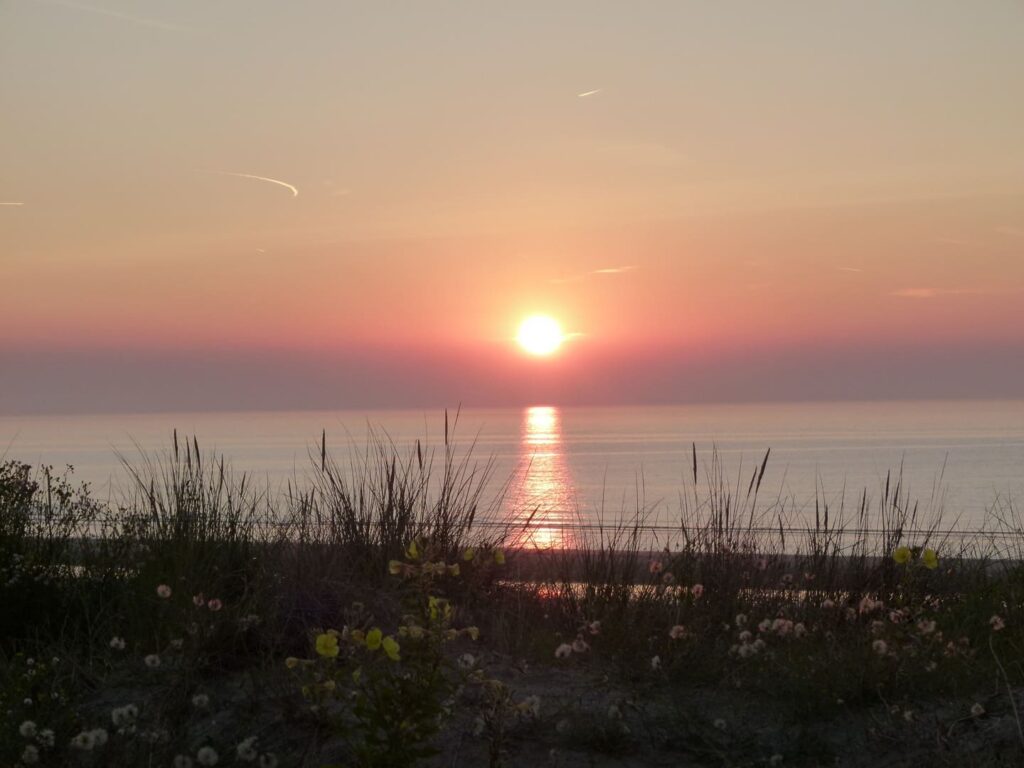Retour du soleil au nord, vigilance orageuse au sud