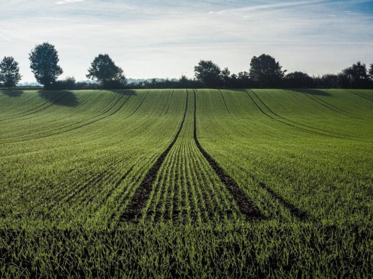 Un agriculteur voulait un terrain, il trouve : des ennuis