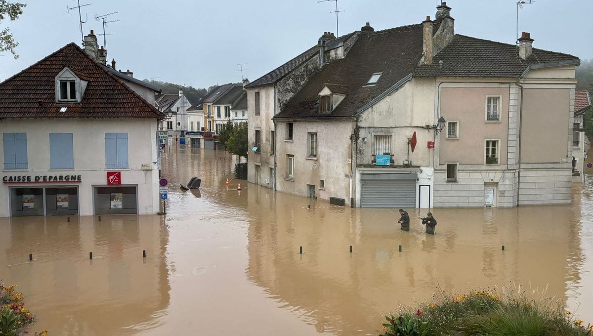 Après les crues, Crécy-la-Chapelle sort la nappe à carreaux