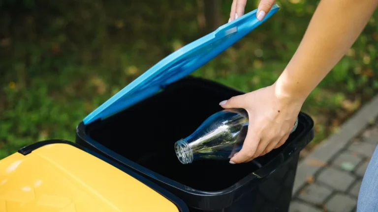 Le retour de la consigne en verre : quatre régions françaises en piste dès juin