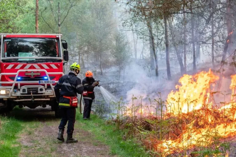 Oise : dix hectares de forêt ravagés par un incendie impressionnant
