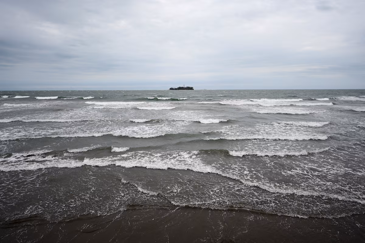 La survie d’une baleine en danger menacée par les activités pétrolières dans le golfe du Mexique, selon une évaluation américaine