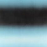 « Dans le flou » : le musée de l’Orangerie explore l’indistinct comme langage de l’art