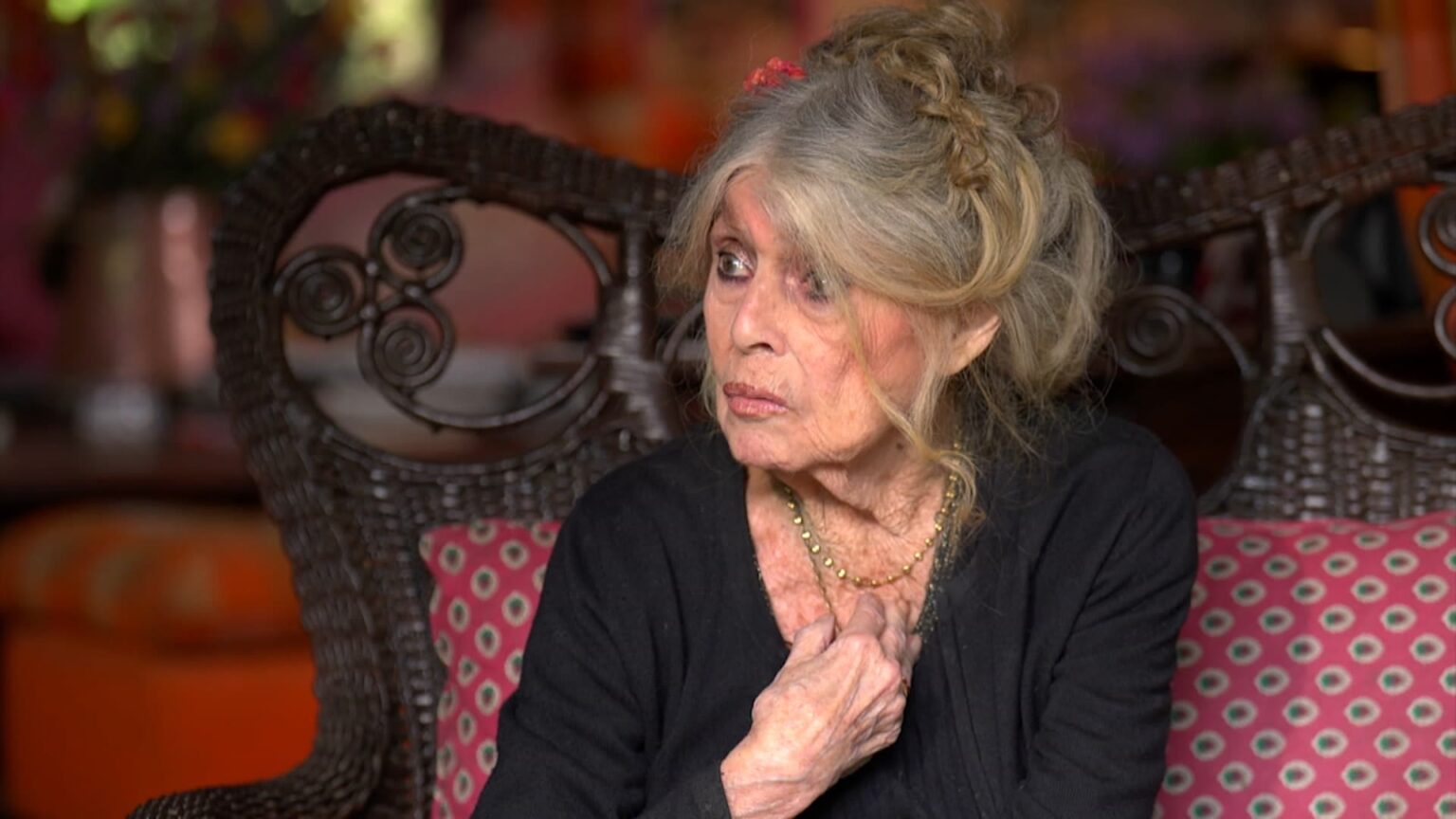 Brigitte Bardot sort du silence : « Je vous embrasse tous », l'icône rassure sur sa santé