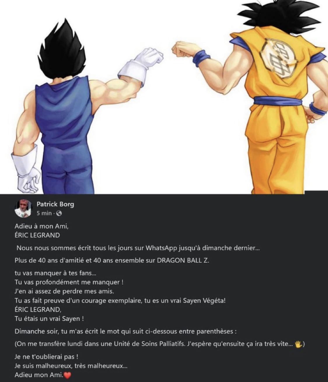 «On Me Transfère Dans Une Unité De Soins Palliatifs. J&Rsquo;Espère Qu&Rsquo;Ensuite Ça Ira Très Vite…» Les Derniers Mots D’éric Legrand, Voix Française De Vegeta Et Seiya
