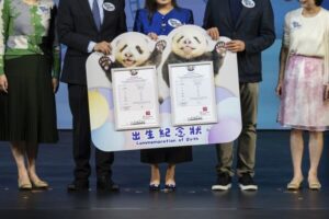 Jia Jia et De De : les bébés pandas de Hong Kong reçoivent enfin leurs noms et attirent les foules