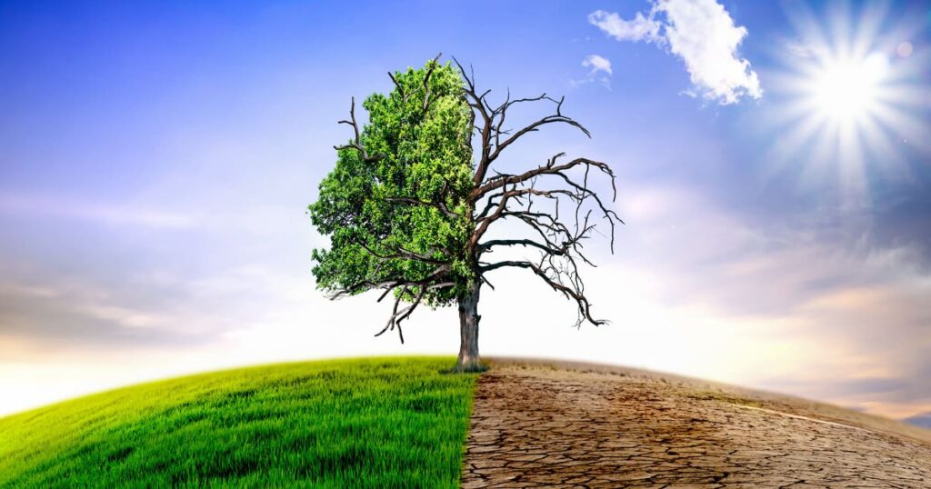 Climat : le monde se rapproche dangereusement de la barre des +1,5 °C