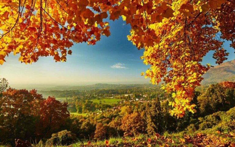 Jeudi 5 juin : la météo vire à l’automne au nord, plein soleil au sud