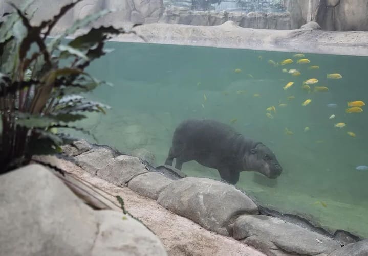 Capture D’écran 2025-06-21 À 16.41.12