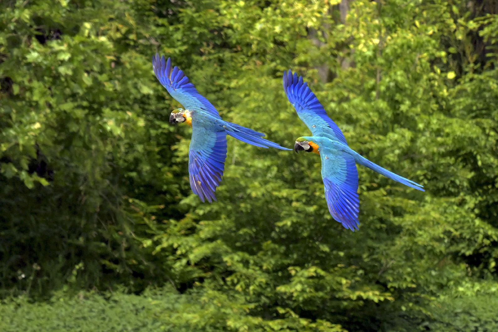 482318640_1640719980164124_2456894784953583470_N