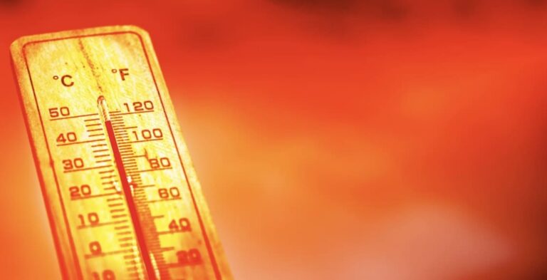 Canicule écrasante : jusqu’à 42°C ce lundi, la France suffoque sous un dôme de chaleur