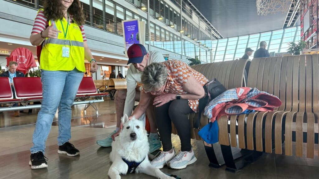 Zen au terminal : un chien contre l’anxiété à l’aéroport de Nice