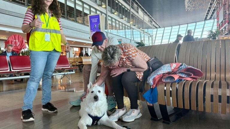 Zen au terminal : un chien contre l’anxiété à l’aéroport de Nice