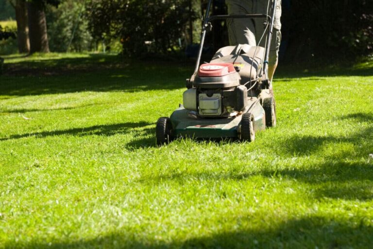 Sarthe et Loir-et-Cher : des aides versées pour tondre et broyer plus vert
