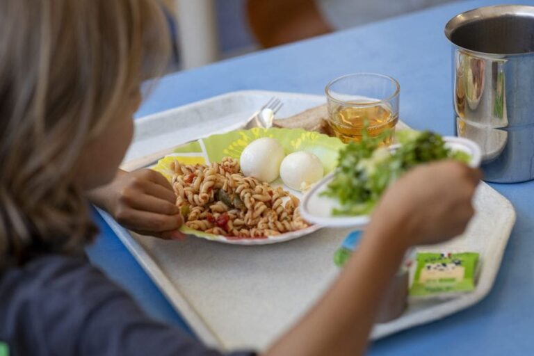 Cantines scolaires : la Côte-d’Or vote une hausse de 85 %