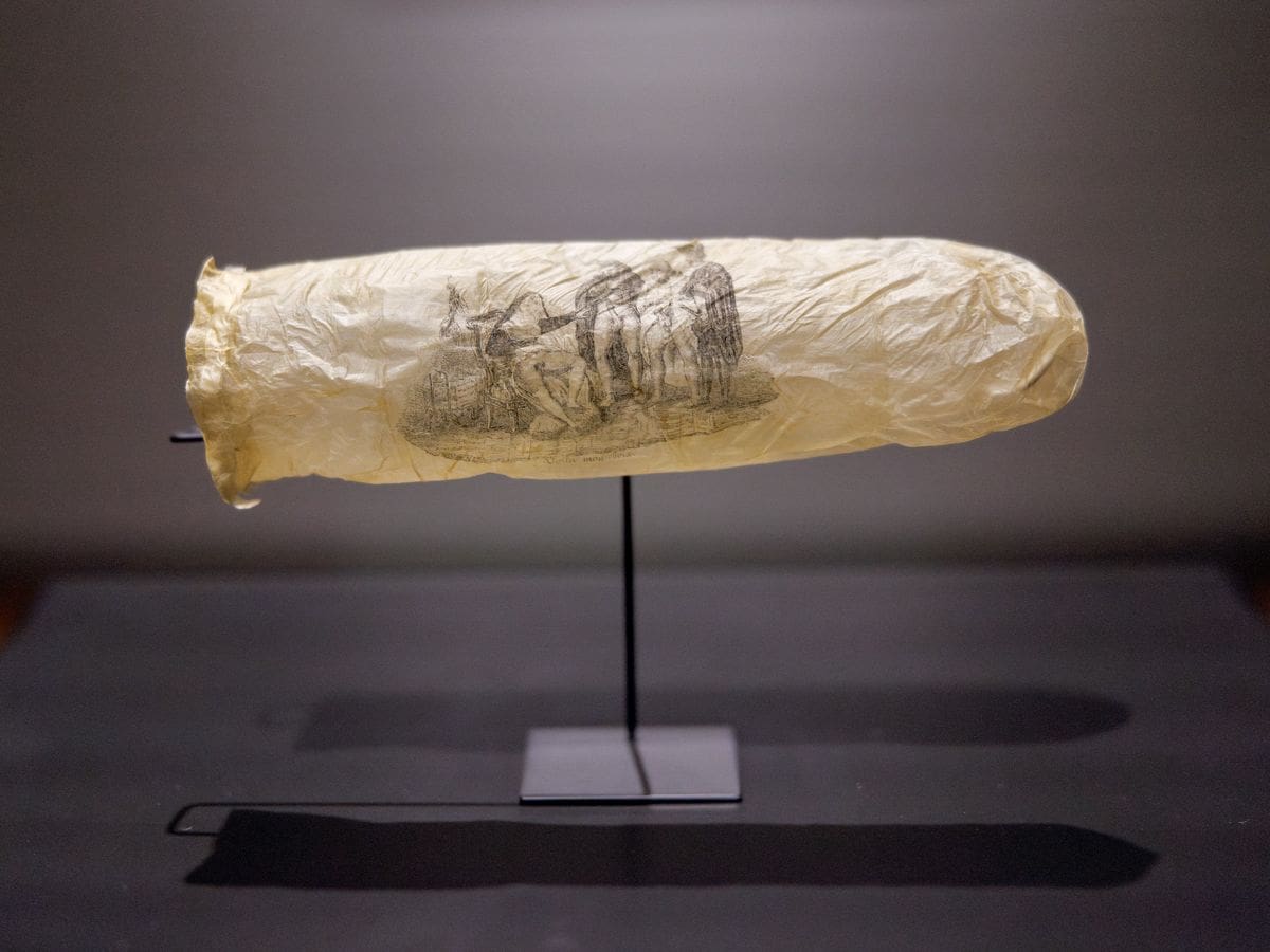 Un préservatif du XIXe siècle exposé au Rijksmuseum d’Amsterdam