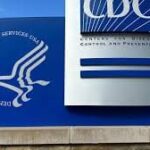 Une épidémie de salmonelle liée à des œufs contamine des dizaines de personnes dans sept États américains