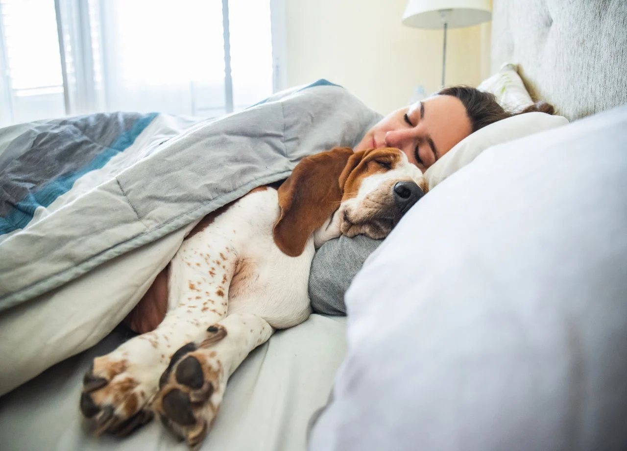 Dormir avec son animal nuit-il à votre sommeil ? Ce que disent (vraiment) les experts