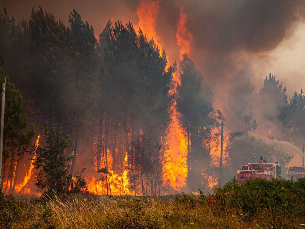 Vague de chaleur précoce : des incendies ravagent la Turquie et la France, des écoles fermées