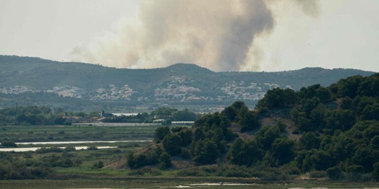 Feux de forêt dans l’Aude : un camping évacué à Bizanet, plus de 120 pompiers mobilisés