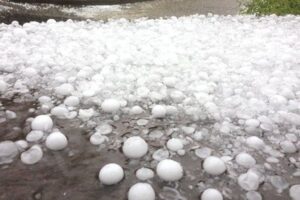 Puy-de-Dôme : des grêlons géants ravagent plusieurs communes Le week-end a tourné au cauchemar dans plusieurs localités du sud-est du Puy-de-Dôme. Dimanche 1er juin, un orage d’une violence exceptionnelle a frappé la région entre 19h45 et 20h45, laissant derrière lui des dégâts impressionnants. Les grêlons, dont certains atteignaient jusqu’à 12 cm de diamètre, ont littéralement ravagé les communes situées entre Olliergues et Saint-Gervais-sous-Meymont, semant la désolation en à peine une heure. Qualifié de « supercellulaire » par les autorités, l’épisode orageux a été accompagné de précipitations extrêmement denses, avec près de 20 mm de pluie tombés en seulement 15 minutes. La grêle, d’un calibre exceptionnel, a perforé les toitures, brisé les vitres, ravagé les cultures et endommagé de nombreux véhicules. À Tours-sur-Meymont, les témoignages font état de projectiles de glace de la taille d’un pamplemousse. Des scènes de dévastation sur plusieurs communes Plusieurs routes départementales, dont les RD906 et RD37, ont été rendues impraticables à cause de la chute massive de branches et d’arbres. Plus de 4 000 foyers ont été privés d’électricité dans une dizaine de communes, tandis que le site industriel SMURFIT KAPPA, situé à La Chapelle-Agnon, a dû suspendre son activité en raison de dommages matériels considérables. Le préfet du Puy-de-Dôme appelle à la prudence : « La situation reste dangereuse. Les conditions de circulation sont toujours compliquées, notamment en zone forestière. Les déplacements non essentiels doivent être évités. » La population est également invitée à signaler tout arbre ou câble menaçant sur la voie publique. Et la menace est loin d’être écartée : selon Météo France, de nouveaux orages sont attendus ce lundi après-midi et pourraient se poursuivre jusqu’à mercredi 4 juin. Des chutes de grêle de 2 à 4 cm sont d’ores et déjà annoncées pour mardi. Pour les habitants du secteur Oliergues–Bertignat–Vertolaye, le retour à la normale s’annonce long. Les assureurs se préparent à affronter une avalanche de déclarations de sinistres.