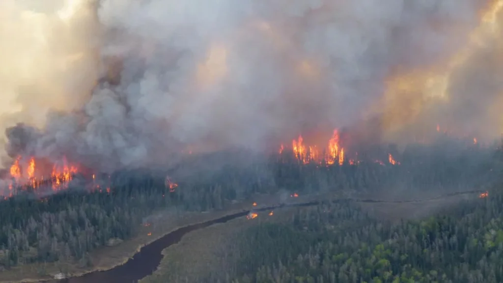 Fumées des feux canadiens vers l’Europe : ciel voilé, mais risque limité pour la santé