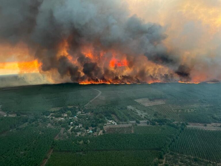 Incendie à Achères-la-Forêt : 16 hectares ravagés, des habitants évacués