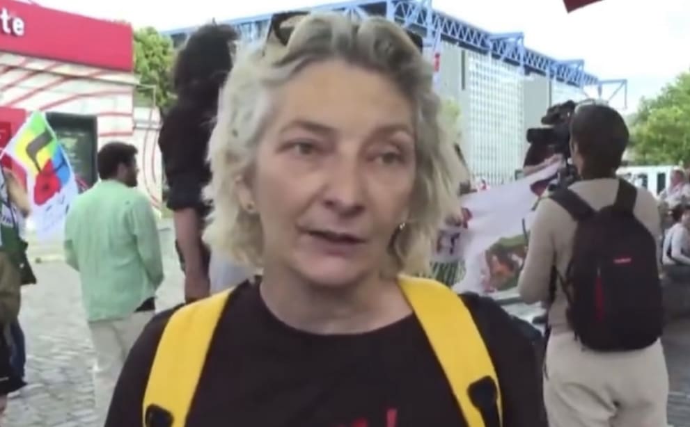 VIDÉO - Corinne Masiero, star de Capitaine Marleau: «Pourquoi vous n’aidez pas les camarades gazaoui qui sont en train de crever, de se faire torturer et péter la gueule?»