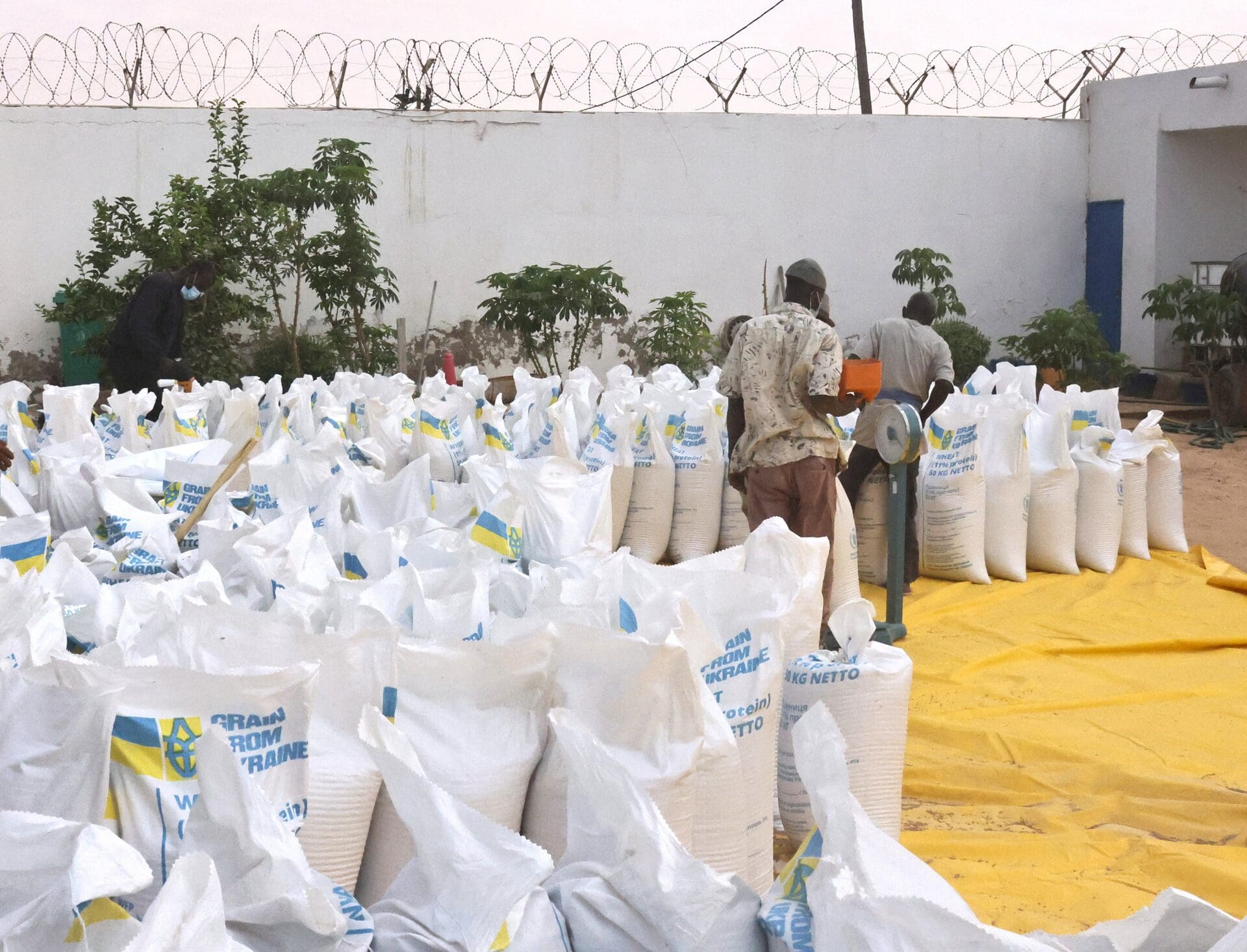 Face à Moscou, l’Ukraine tente de se faire une place en Afrique avec de l’aide, des ambassades et de la formation militaire