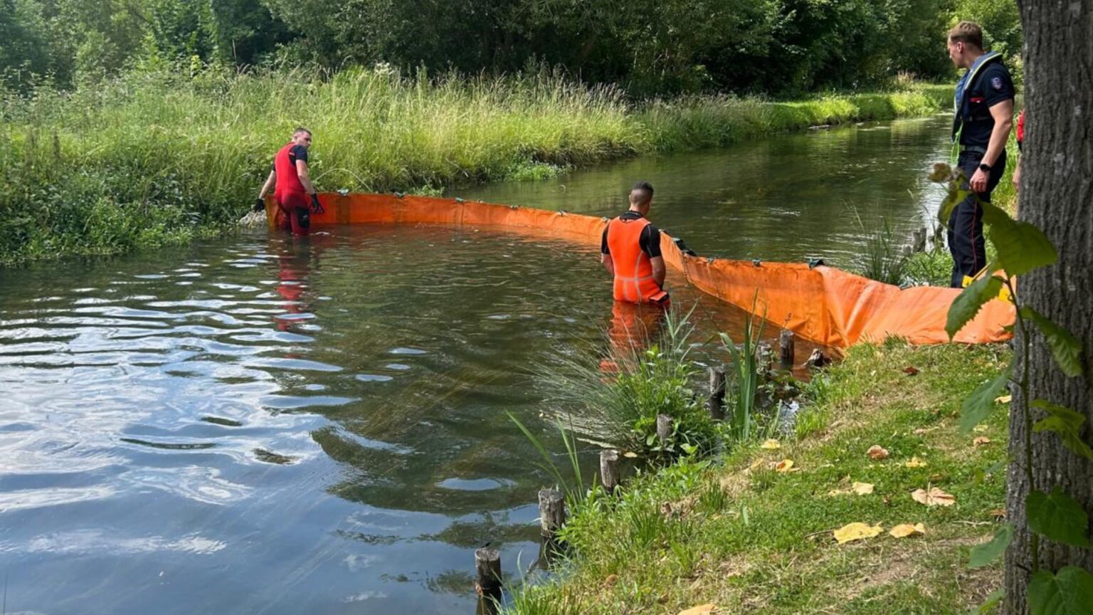 Hydrocarbures dans la Nonette : la baignade gâchée dans l’Oise
