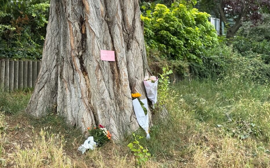 Orages à Paris : la jeune femme blessée par une branche est décédée
