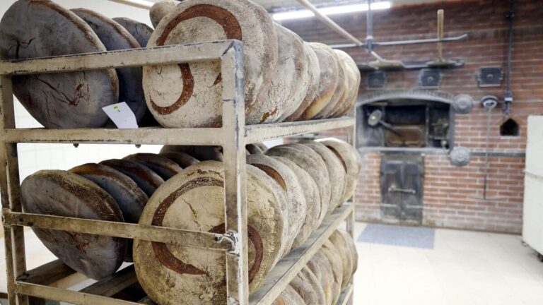 Fermeture choc chez Poilâne : rongeurs, saleté et non-conformités sanitaires