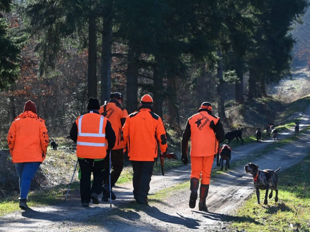 Morbihan : une battue organisée pour retrouver un octogénaire atteint d’Alzheimer