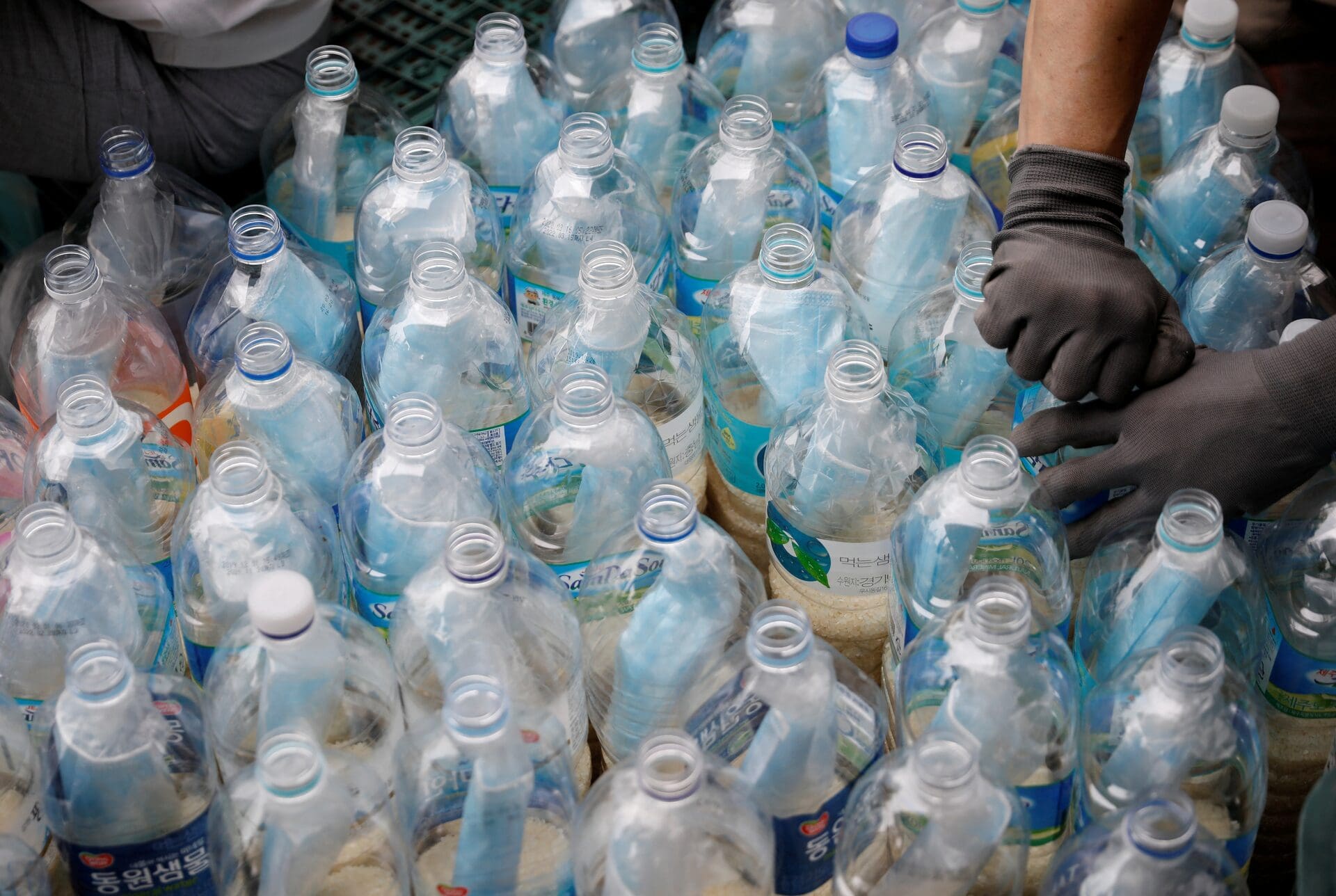 Six Américains arrêtés en Corée du Sud pour avoir tenté d’envoyer riz, dollars et Bibles en Corée du Nord